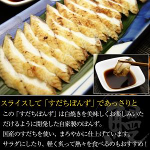 国産 うなぎ 白焼き 120g×1本 うなぎ屋...の詳細画像2