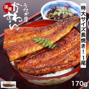 うなぎ 蒲焼き 国産 特大サイズ170g 1尾 うなぎ屋かわすい 長焼き ウナギ 鰻 ひつまぶし 土用丑 誕生日 プレゼント 内祝 お返し ギフト 海鮮 お取り寄せ 爆買