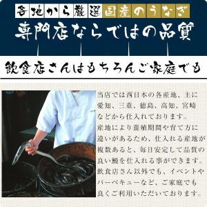 生のうなぎ 捌いた国産うなぎ 大サイズ 選べる...の詳細画像1