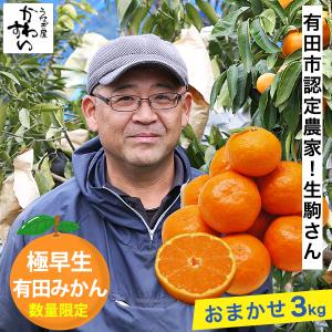 10/31まで 有田みかん 極早生 収穫次第順次発送 ゆら早生みかん 生駒さんの有田みかん 人気 3キロ 和歌山 ミカン 小玉 おまかせ お取り寄せ フルーツ 果物 柑橘