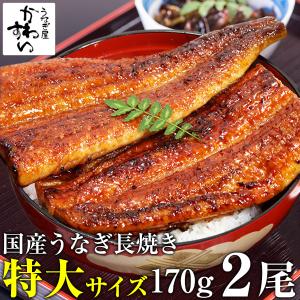 うなぎ屋かわすい 新仔 うなぎ 蒲焼き 国産 特大サイズ170g 2尾 うなぎ屋かわすい 新仔 うなぎ 蒲焼き 国産 特大サイズ170g 2尾