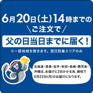 父の日 まだ間に合う うなぎ ギフト 蒲焼き ...の詳細画像1