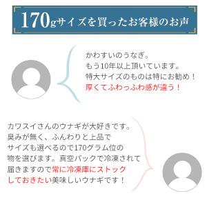 うなぎ 蒲焼き 国産 特大サイズ170g 2尾...の詳細画像3