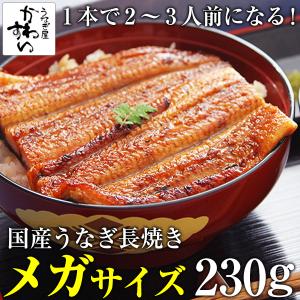 (タイムセール)国産うなぎ蒲焼き メガサイズ 230g-24...