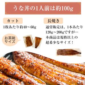 限定300本 国産 うなぎ 蒲焼き メガサイズ...の詳細画像2