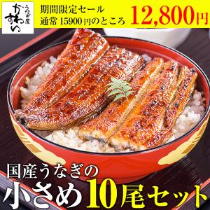 2日間限定タイムセール 限定40セット 訳あり 国産 うなぎ 蒲焼き 10本 うなぎ屋かわすい 訳アリ 小さめサイズ 鰻 ウナギ ひつまぶし 数量限定 夏の土用丑