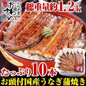 (限定90セット)国産有頭うなぎ蒲焼き10本セット(送料無料...