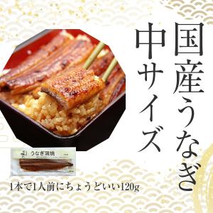 うなぎ 蒲焼き 白焼き 紅白 国産 120g ...の詳細画像3