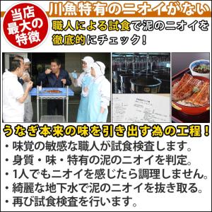 うなぎの焼き肝 国産 60g うなぎ屋かわすい...の詳細画像4