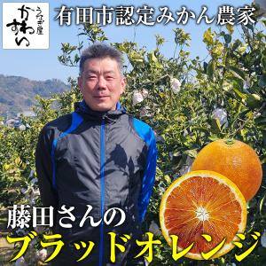 数量限定 国産ブラッドオレンジ 5kg 有田市認定みかん農家