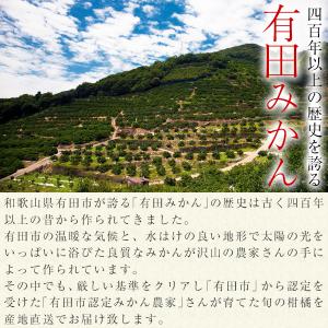 ＼旬の柑橘をお届け/ 藤田さんの柑橘詰め合わせ...の詳細画像2