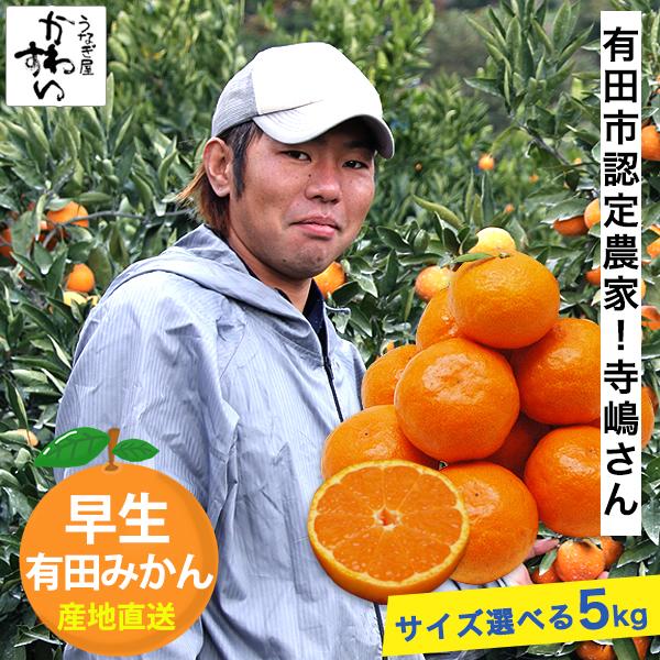 サイズが選べる！みかんの本場・有田から産直 寺嶋さんの有田みかん 収穫次第順次発送 早生 みかん 和...