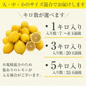 寺嶋さんの有田産レモン 皮ごと食べられる 14...の詳細画像1