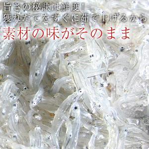 セール 釜揚げ しらす お中元 ギフト 国産 ...の詳細画像4