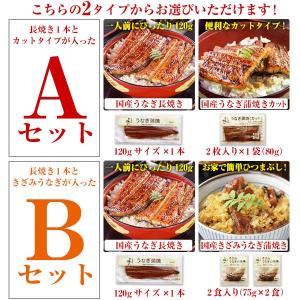 うなぎ 蒲焼き 国産 ウナギ 選べる2種 鰻 ...の詳細画像1