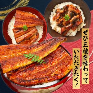 うなぎ 敬老の日 2026 ギフト 蒲焼き 3...の詳細画像3