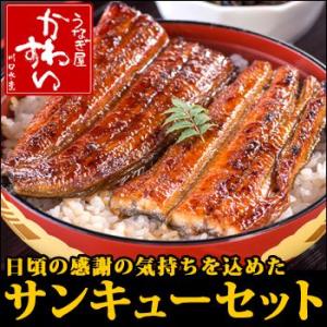 限定企画 サンキューセット(ウナギ うなぎ 鰻 蒲焼き)