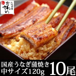 ＼まとめ買いにおすすめ／10尾セット 国産 うなぎ 蒲焼き 120g 鰻 ギフト 蒲焼 うなぎ蒲焼 送料無料｜うなぎ屋かわすい 川口水産 ヤフー店