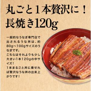 うなぎ お中元 2026 ギフト 蒲焼き 国産...の詳細画像2