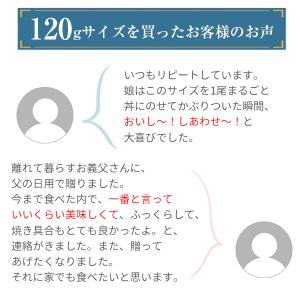 うなぎ お中元 2026 ギフト 蒲焼き 国産...の詳細画像3