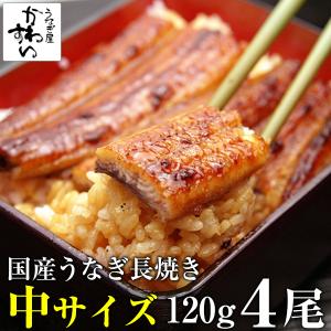 うなぎ 蒲焼き 国産 120g 4尾 ウナギ 鰻 送料無料
