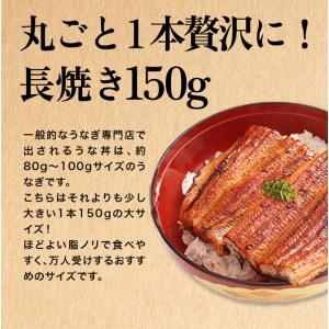 お中元 うなぎ 蒲焼き 国産 大サイズ 長焼き...の詳細画像1