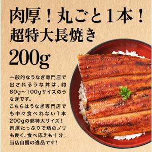 お中元 うなぎ 蒲焼き 国産 超特大サイズ 2...の詳細画像1