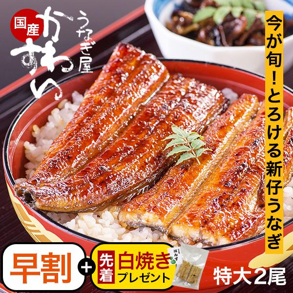 早割 セール 新仔 うなぎ 蒲焼き 国産 特大サイズ170g 2尾 うなぎ屋かわすい ウナギ 鰻 グ...