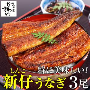 新仔 うなぎ 蒲焼き 国産 特大サイズ170g 3尾 ウナギ 鰻