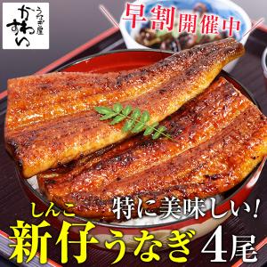 10/31(火)13:59までの販売 新仔 うなぎ 蒲焼き 国産 特大サイズ170g 4尾 ウナギ 鰻 送料無料