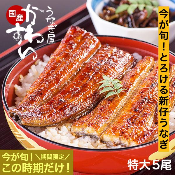 早割 セール 新仔 うなぎ 蒲焼き 国産 特大サイズ170g 5尾 うなぎ屋かわすい ウナギ 鰻 グ...