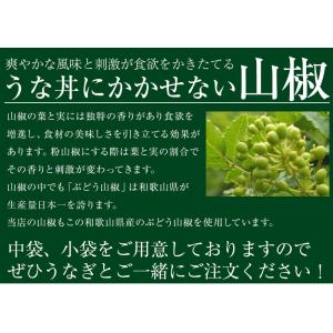 使い切り小分けタイプ 5個入 和歌山県産ぶどう...の詳細画像2