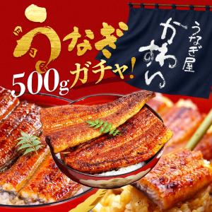 うなぎ ガチャ福袋 国産 蒲焼き 訳あり 何が入るかお楽しみ 冷凍 送料無料 鰻 ウナギ 詰め合わせ 大容量 土用丑 ギフト 誕生日 プレゼント 内祝 グルメ｜うなぎ屋かわすい Yahoo!ショッピング店