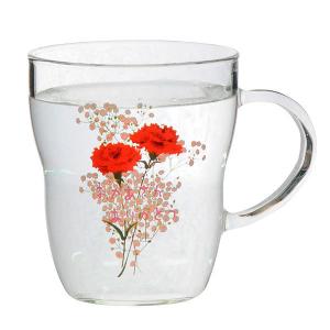 温度で色が変わる コップの商品一覧 通販 Yahoo ショッピング