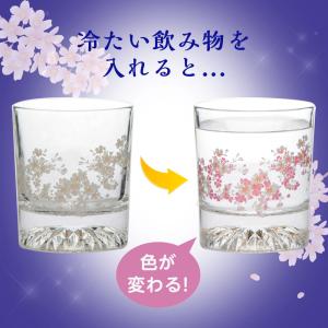 色が変わる冷感グラス 里桜 ロックグラス 21...の詳細画像3