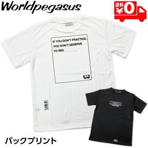 ワールドペガサス ウェア 野球 Tシャツ 半袖 バックプリント WAPTS100 ホワイト／ブラック