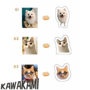 写真入れ オーダーメイドペットクッション 写真...の詳細画像2