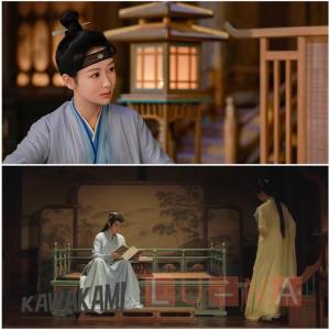 中国ドラマ「長相思」中国版DVD Blu-ra...の詳細画像2