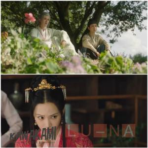 中国ドラマ「長相思」中国版DVD Blu-ra...の詳細画像4