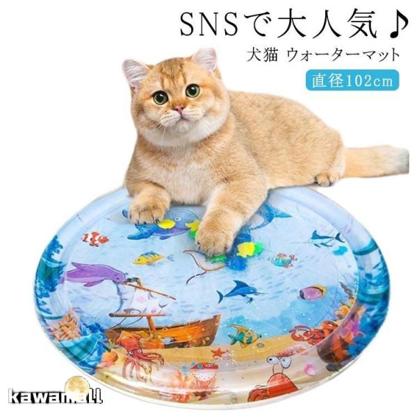 ペット用 屋内 おもちゃ ＼インフレーター付き★／ 猫用 犬用 夏用 ウォーターベッド 感覚水プレイ...