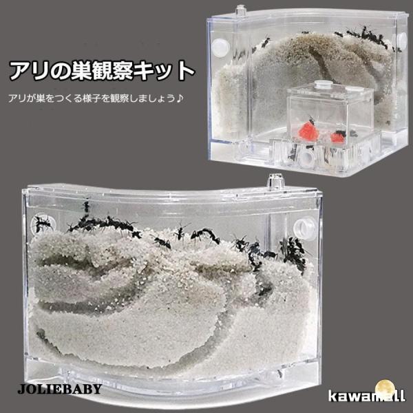 アリの巣　あり観察キット　飼育ケース　砂　自由研究 小学生 あり 蟻 飼育セット 実験セット 観察　...