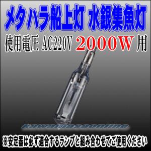 メタハラ船上灯 スリムタイプ水銀灯 3KW : カワマサオンライン - 通販