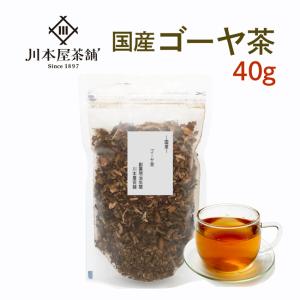 ゴーヤ茶 ノンカフェイン 健康茶 ごーや 国産  40ｇ お試し カフェインレス