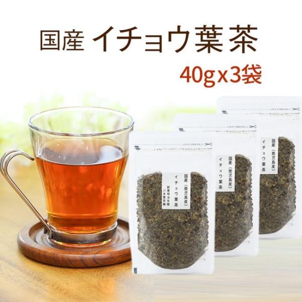 イチョウの葉茶 国産 40g×3セット いちょう