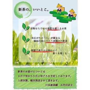 新茶 お茶 日本茶 今に受け継がれる極上の味 ...の詳細画像3