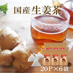 しょうが紅茶 お徳用 120Ｐ入り 「生姜茶」 ティーパックタイプ 6袋セット(2g×20包) ティーバッグ｜kawamotoya
