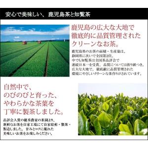 新茶 知覧茶 TVで話題のゆたかみどり取り扱い...の詳細画像2