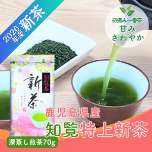 2026新茶 特上川根茶 100g×2袋 静岡茶 静岡茶名産地シリーズ 生粋川根