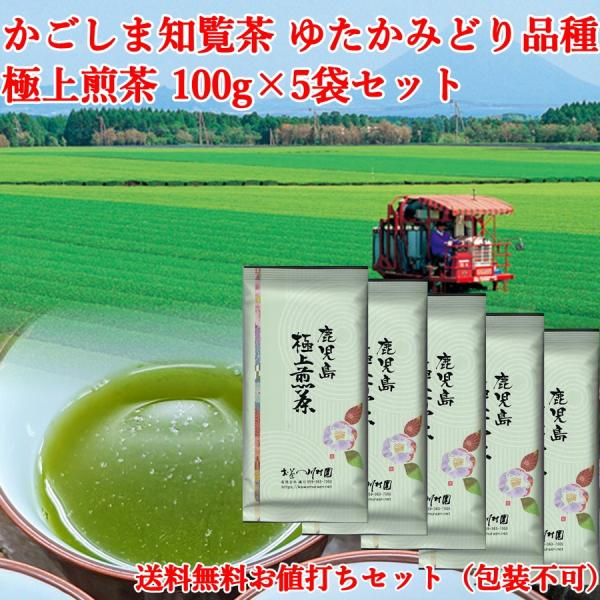 お茶 お茶の葉 知覧茶 深蒸し茶 鹿児島極上煎茶 100g×5袋 お徳用セット お得 まとめ買い 緑...