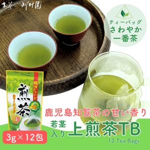 お茶 緑茶 「上煎茶ティーバッグ」3g×12包×2袋 ネコポス配送セット
